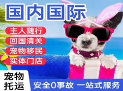 甘南夏河航空物流国际宠物托运 【国